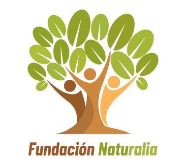 Logo sponsor